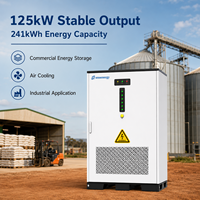 Gabinete de Almacenamiento de Energía Solar Diésel LiFePO4 de 125kW 241kWh para Riego Agrícola Africano y Reducción de Picos con Control Híbrido