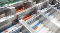 Automatische Snijmachine Voor De Productie Van Plantaardige Fruitbaby-Wortel