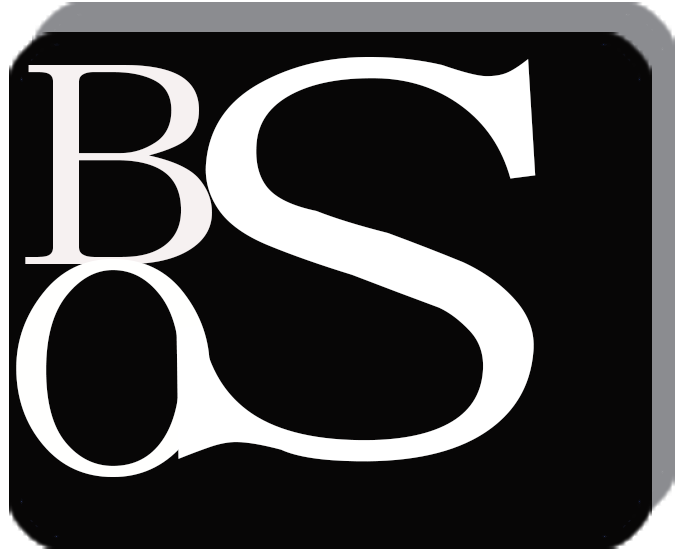 Guangzhou Bosheng Technology Co., Ltd. logo