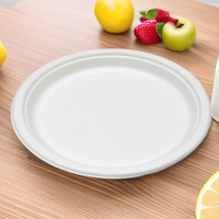 Assiettes jetables en bagasse écologiques pour la vente en gros, modernes, pour la rentrée scolaire, les fêtes et le service alimentaire, 200 unités, biodégradables, résistantes à l'eau