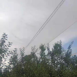 Rete Anti-Grandine per Agricoltura e Vigneti in HDPE Vergine al 100%, Larghezza 8m, per Frutteti - Product Image 5