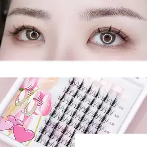 Dandelion Devil Hair Natural False Eyelashes Segmented Eyelash With Custom Packaging Private Label