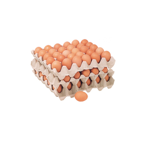 วิดีโอเครื่องทำถาด<span class=keywords><strong>ไข่</strong></span> สาธิตการ<span class=keywords><strong>ทำ</strong></span>งานของเครื่องขึ้นรูปเยื่อกระดาษ - Product Image 5