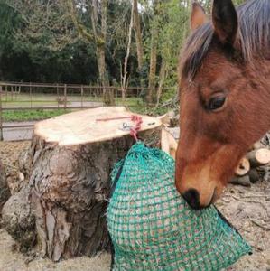 馬用ポリプロピレンスローフィードラウンドベール干し草ネットカスタマイズ可能な切削加工サービス - Product Image 5