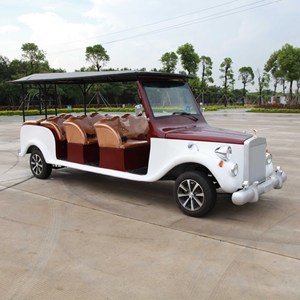 Voiture de tourisme 11 places, véhicule de tourisme à essence pour parcs et stations balnéaires - Product Image 4