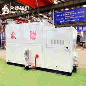 Zws 3ton 1ton 2ton 4ตัน/ชั่วโมงหม้อต้มไอน้ำ-ถ่านหินชีวมวลเชื้อเพลิงคู่เครื่องกำเนิดไอน้ำประสิทธิภาพสูง - Product Image 4