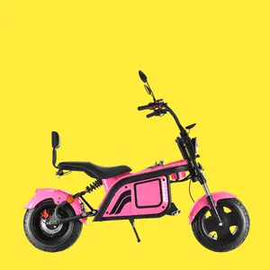 Small And Exquisite Electric Scooter citycoco Easy Rider 48V 500W Competitive Price