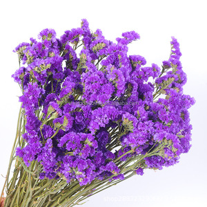 La FÁBRICA DE Yunnan vende directamente flores de ramo secas preservadas, no <span class=keywords><strong>me</strong></span> olvides de la flor para arreglos florales - Product Image 2