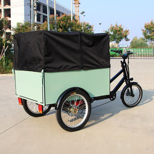 Vélo de livraison à trois roues à chargement arrière longue portée au <span class=keywords><strong>prix</strong></span> <span class=keywords><strong>d</strong></span>'usine, avec boîte, tricycle électrique, vélo <span class=keywords><strong>cargo</strong></span> pour la livraison avec auvent - Product Image 2