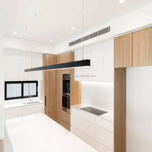 Newly Design Hanging <strong>Fluorescent</strong> Lighting, Energy Saving <strong>Kitchen</strong> Hanging <strong>Lights</strong> - Product Image 5