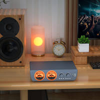 Amplificateur audio professionnel Hi-Fi avec entrées RCA et symétriques, amplificateur domestique pour caisson de basses