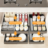 Organisateur de placard coulissant extensible en acier au carbone, support réglable sous l'évier pour l'espace de rangement du comptoir de cuisine