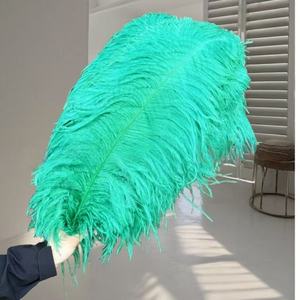 Vente en gros 24-26 pouces Grandes plumes d'autruche blanches Festival de carnaval 60-65cm Décoration de mariage 15-80cm Teint Fluffy Parties d'autruche - Product Image 6