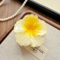 Pinza para el pelo de flores de Color degradado a la moda, 8cm, pinza Hawaiana para vacaciones en la playa, pinzas para el pelo de plástico duradero para mujer