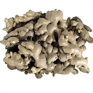 Pâte d'<span class=keywords><strong>ail</strong></span> et gingembre frais pour la fabrication de sauces, qualité professionnelle pour cuisines commerciales, export en vrac - Product Image 1