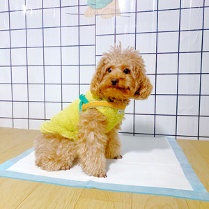 Giá Thấp Pet Tã Phụ Kiện Dùng Một Lần Nhà Vệ Sinh Mat Tã Pet Đào Tạo Pad Cho Chó Và Con Chó Con - Product Image 6