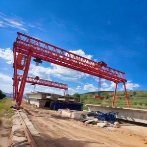 Grue à portique multifonctionnelle de 32 à 500 tonnes avec mode de déplacement flexible pour divers chantiers - Product Image 1