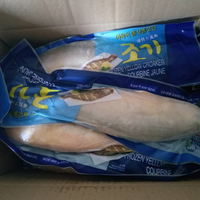 En gros Haute Qualité Délicieux Petit Poisson Croaker Jaune Fabricants