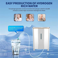 Machine respiratoire à hydrogène et oxygène PEM stable de 1500 ml/min, pureté élevée 99,992 %, fabrication en usine propre, OEM ODM, vente en gros pour les soins de santé
