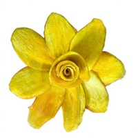 Mekong Rivier Clean Label Gedroogde Passievrucht Gedroogde Longan Mango Ananas Bulk Export