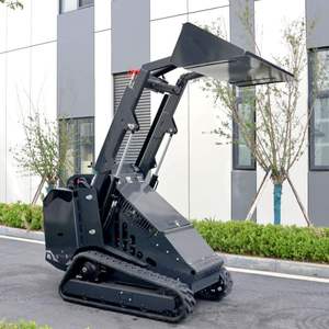 Caricatore Cingolato <span class=keywords><strong>Mini</strong></span> Diesel di Tipo Cinese Economico Macchinario per Movimento Terra - Product Image 3