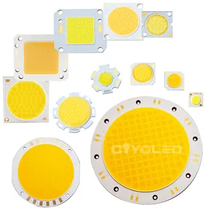 COYOLED ชิป LED COB พลังงานสูง,50W 220V ชิป LED COB 50W 100W 200W สำหรับไฟถนนกลางแจ้ง