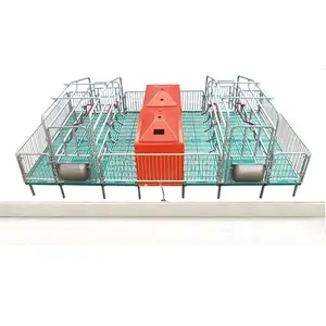 Poultry farming equipment sow farrowing cage pig crate