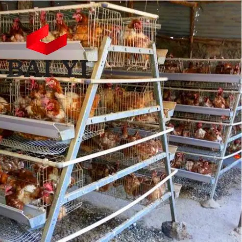 5 Tier 200 Birds Laying Hens Rwanda Poultry Farm Chicken Layer Cage