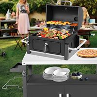 Barbecue portable multifonctionnel pour l'extérieur, revêtement en poudre chromé, grille de cuisson, couvercle de conservation de la chaleur, poignées latérales de transport