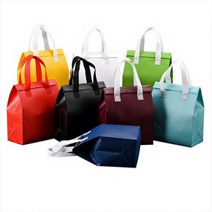 Wholesale Custom Disposable Leakproof Nonwoven Cooler Bag Picnic Thermal Insulated for Lunch Food Wine Durable and Portable - Product Image 1
