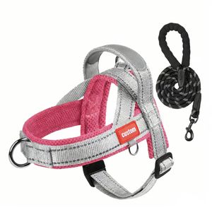 حزام كلاب عصري قابل للتعديل مضاد للهروب خفيف الوزن، حزام مشي للحيوانات الأليفة من النايلون، أداة تدريب للحيوانات الأليفة، مصنوع حسب الطلب - Product Image 1