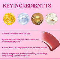 Fournitures de fabrication en gros Personnalisé Vendoral Por Mayor Water Maquillage longue durée Lisse Vegan Lip Stain