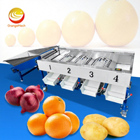 ORME Aardappel Kersentomaat Sorteermachine Mini Groene Olijf Appel Citrusvrucht Sorteer- en Wasmachine