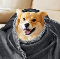 Nouveau design de couvertures imperméables écologiques pour chiens de compagnie pour canapé-lit couvertures pour animaux de compagnie pour petits, moyens et grands chiens chats