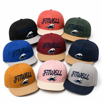 Gorra de Béisbol Personalizada de Dos Tonos con Visera Plana, Logotipo Bordado en 3D, Estructurada de 6 Paneles, Estilo Urbano, OEM ODM para Marcas de Moda