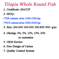 Tilapia Congelada Nile Poisson Congel para la Venta, Pescado Fresco Vivo, Tilapia para la Venta a Precio Mayorista