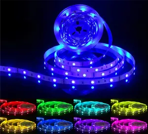 Grosir Wifi Flex 12V 5M Luar Ruangan 2835 5050 SMD RGB Tahan Air Neon Luces Led Pintar Led Strip/Led Strip Lampu/Led Light Strip