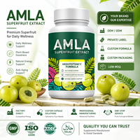 Amla Fruit Extract Capsules 1000mg Dagelijkse Wellness Kruidensupplement Aangepaste Label OEM ODM Groothandel Fabrieksdienst