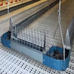 Venta de sistema alimentador de gallinas, rueda de esquina, cadena transportadora, línea de alimentación, criador, casa, equipo avícola, cría de pollos - Product Image 3