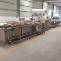 Automatische Werk Knoflook En Mango Fruit Mini Appel Zeewier Blad Transportband Groente Wasmachine Bubble Wash Machine