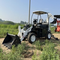 Chargeuse-pelleteuse TOSH 08-2 8-12 blanche importée du Canada, Yanmar, aux États-Unis