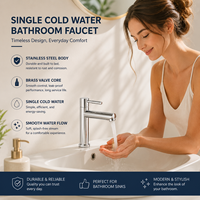 Robinet de lavabo monocommande en acier inoxydable 304 durable, finition brossée, pour salle de bain