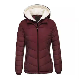 Automne respirant toutes saisons thermique Softshell veste matelassée à la mode coupe-vent conception imperméable doublure en Nylon fermeture éclair tissé - Product Image 1