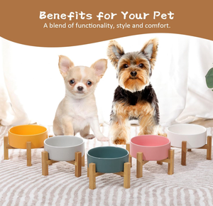 ถาดอาหารสัตว์เลี้ยงป้องกัน<span class=keywords><strong>อาเจียน</strong></span>แบบยกสูงสำหรับลูกสุนัข พร้อมขาตั้งไม้ไผ่ ขายส่งจากโรงงาน - Product Image 6