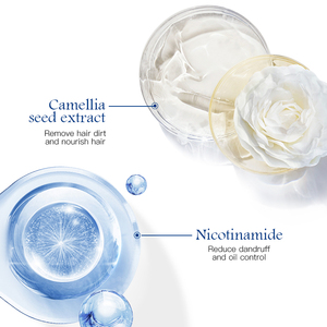 Anti-Dandruff <strong>Shampoo</strong> Targets Oily Scalp and Sheds <strong>Dry</strong> Flakes Clears Away Dandruff Flakes - Product Image 2