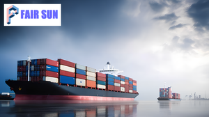 Tarifa Económica de Flete Marítimo FCL para Transporte de Mercancías desde <span class=keywords><strong>Shenzhen</strong></span>, China a Nueva <span class=keywords><strong>York</strong></span> por Agente de Logística - Product Image 6