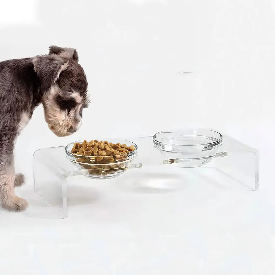 Alimentador elevado acrílico do animal de estimação do cão e do gato Utensílios elevados cães e gatos Clear Acrílico Double Bowl Pet Feeder