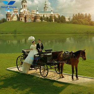 Único Royal Horse-Drawn Oval Pumpkin Coach Transporte especial para eventos especiales - Product Image 2