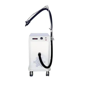 เครื่องทำความเย็นผิวด้วยอากาศอุณหภูมิต่ำ 110V ระบบทำความเย็นสำหรับการรักษาด้วยเลเซอร์สำหรับร้านเสริมสวย - Product Image 2