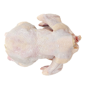 Parrilla de pollo congelado de calidad de exportación, cuello, pies, menudillos, cola eliminada, pollo entero congelado Halal para restaurantes - Product Image 2